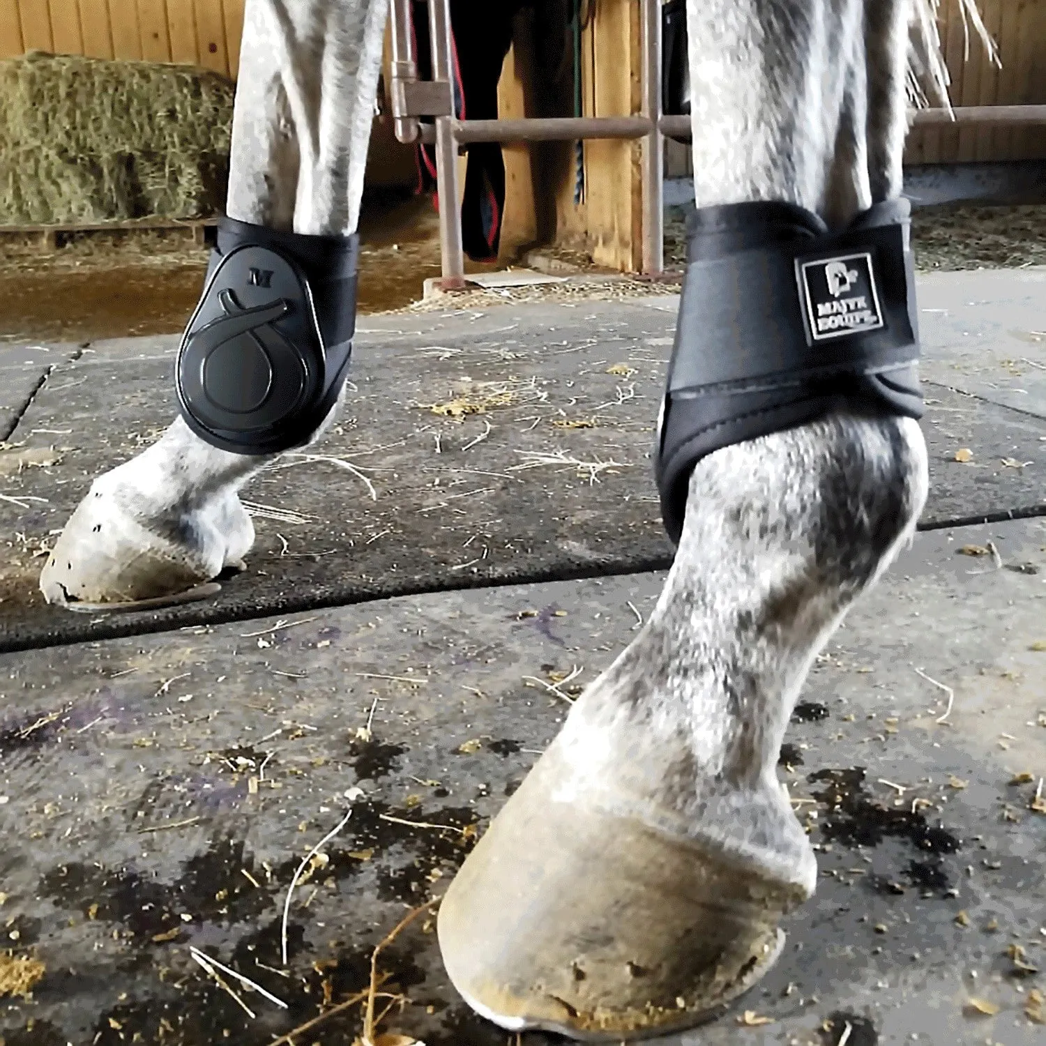 Infinity Fetlock Boots with ARTi-LAGE Technology  (FEI Young Horse Compliant)